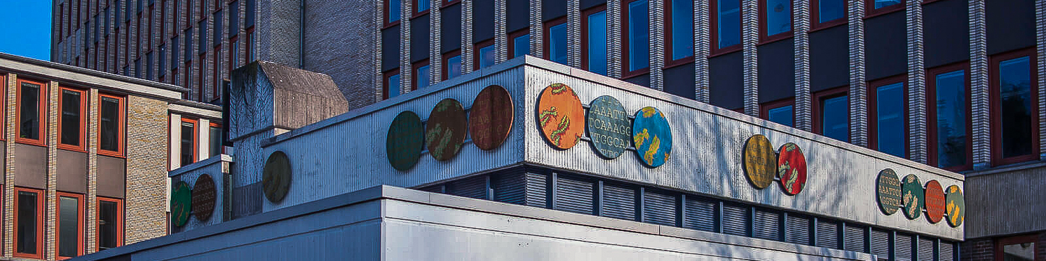 Markus Schier Kunst am Bau, Kultusministerium Kiel